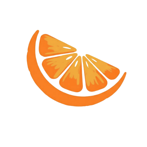 Orangify Logo